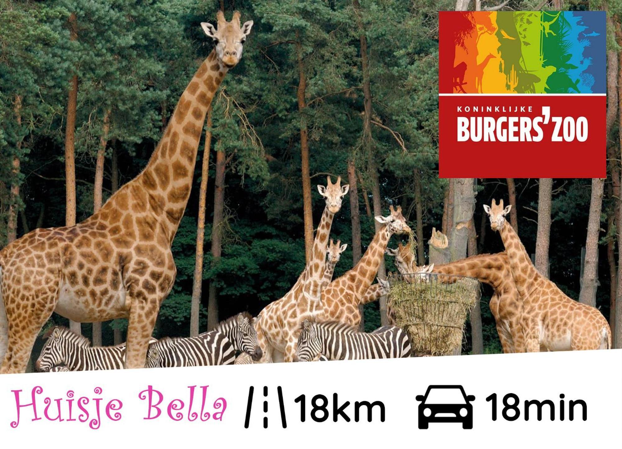 Chalet Huisje Bella Op De Veluwe Max 2 Volwassene Beekbergen Εξωτερικό φωτογραφία